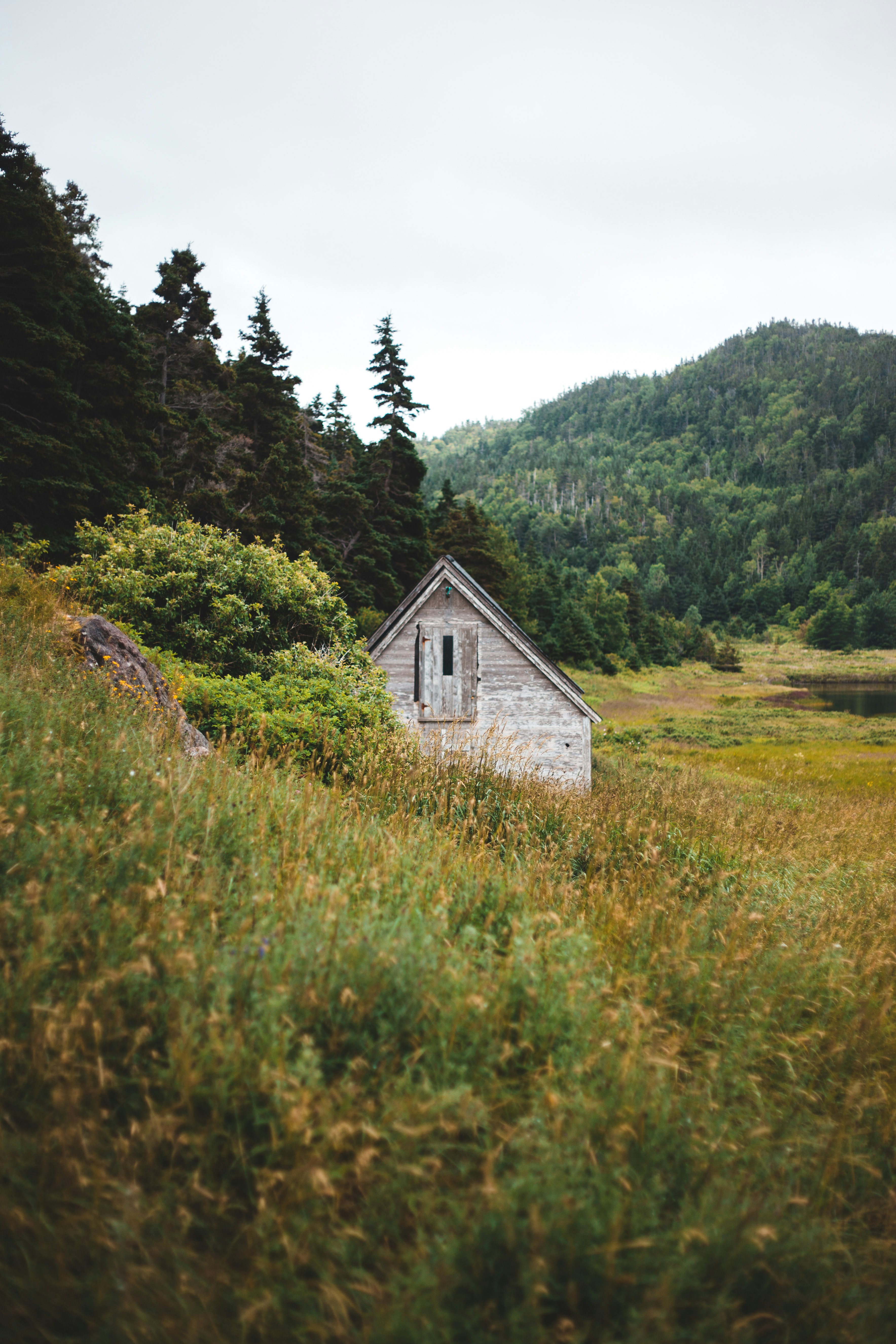 white and brown wooden house on green grass field